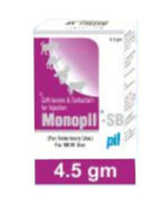MONOPIL-SB MONOPIL-SB